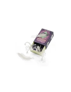 5 insectes phosphorescents - Moulin Roty