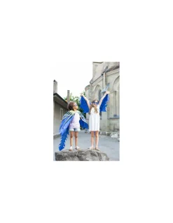 Ailes de dragon bleues 4-6 ans - Great Pretenders