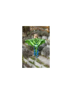 Ailes de dragon vertes 4-6 ans - Great Pretenders