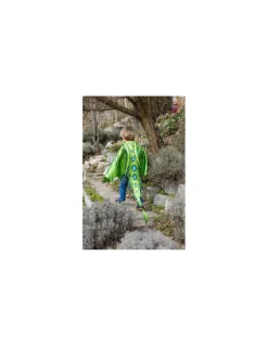 Ailes de dragon vertes 4-6 ans - Great Pretenders