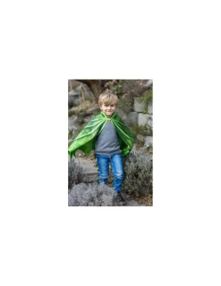 Ailes de dragon vertes 4-6 ans - Great Pretenders