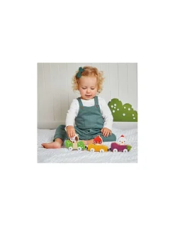 Animaux de la ferme magnétique - Janod