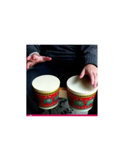 Bongo - Djeco
