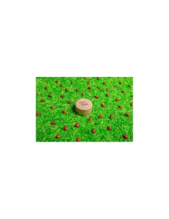 Bouteille sensorielle coccinelles - Petit Boum