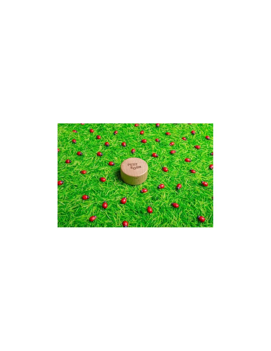 Bouteille sensorielle coccinelles - Petit Boum