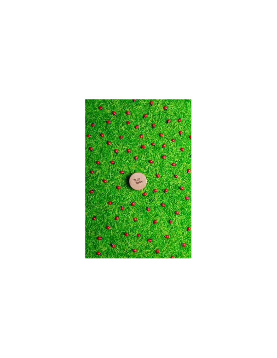 Bouteille sensorielle coccinelles - Petit Boum