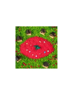 Bouteille sensorielle dragon - Petit Boum