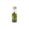 Bouteille sensorielle jungle - Petit Boum