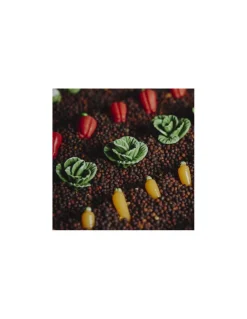 Bouteille sensorielle légumes - Petit Boum