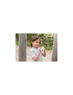 Camera Licorne Zoo Video - The Zoofamily