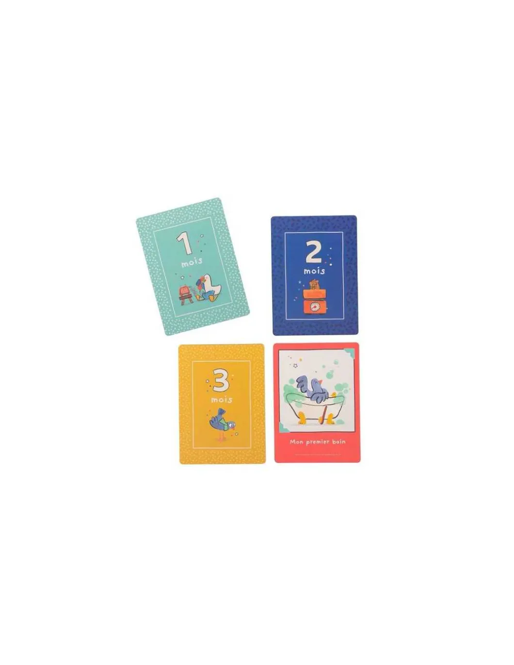 Cartes Mes 12 premiers mois Puce & Pilou - Moulin Roty