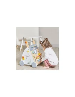 Chariot multi-activités Sweet Cocoon - Janod