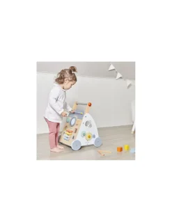 Chariot multi-activités Sweet Cocoon - Janod