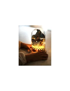 Cloche lumineuse Papillons à créer - Les ateliers déco - Janod
