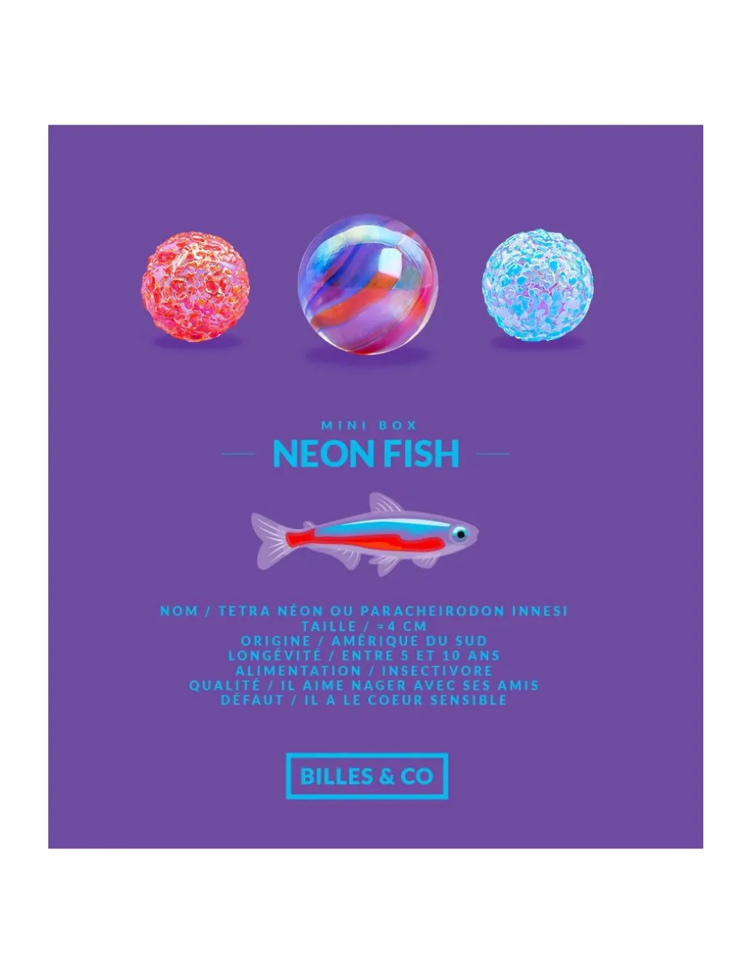 Coffret de 25 billes Neon Fish - Billes & Co
