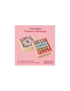 Coffret de 25 billes Papillons Anamorphique - Billes & Co