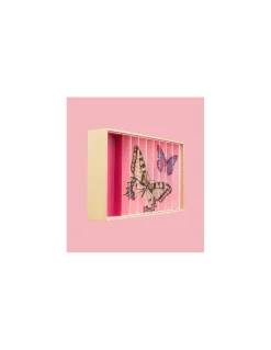 Coffret de 59 billes Papillons Anamorphique - Billes & Co