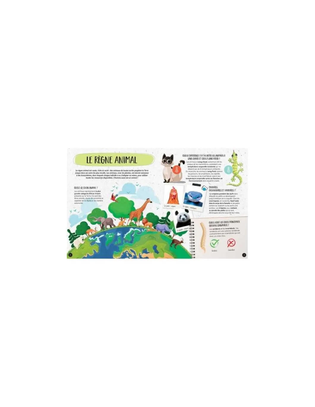 Coffret du méga atlas des animaux - Sassi