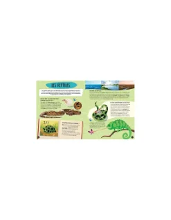Coffret du méga atlas des animaux - Sassi