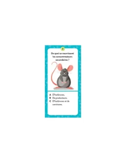 Coffret du méga atlas des animaux - Sassi