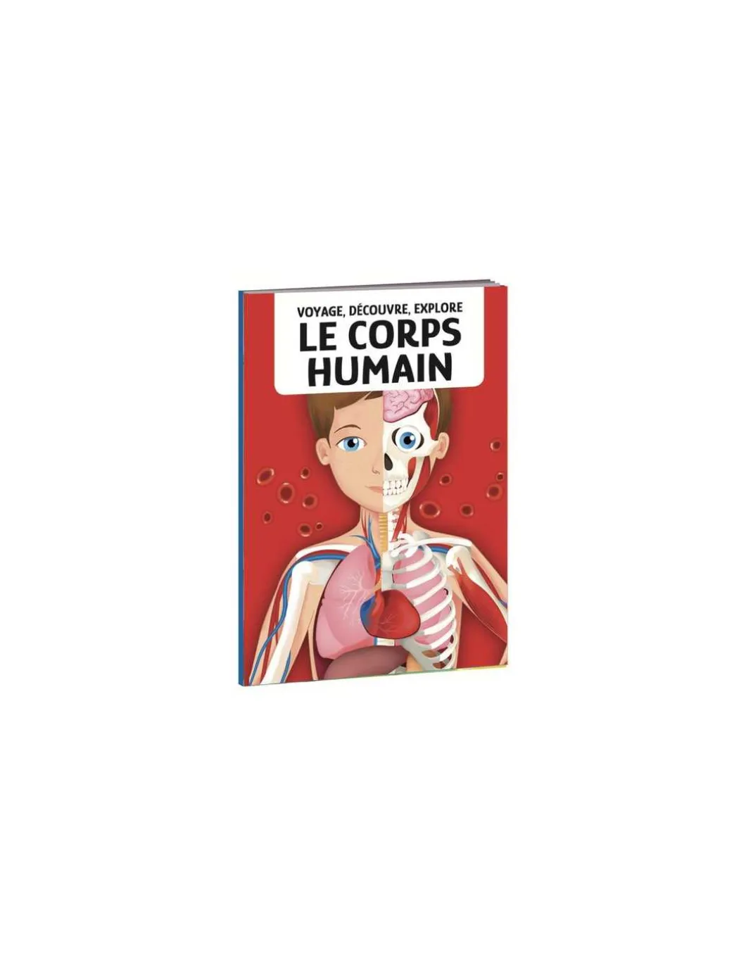 Coffret livre et puzzle Le Corps Humain - Sassi