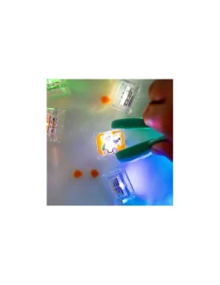 Cubes lumineux Zoo - Glo Pals