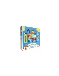 Cubes sonores - Auzou