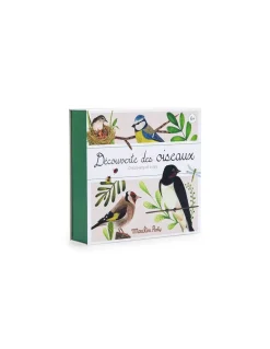 Découverte des oiseaux Le Jardin du Moulin - Moulin Roty