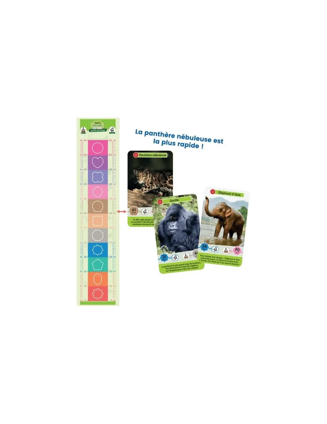 Défis nature junior Mystères de la jungle - Bioviva
