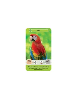 Défis nature junior Mystères de la jungle - Bioviva