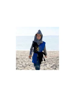 Déguisement chevalier Richard 5-7 ans - Labay