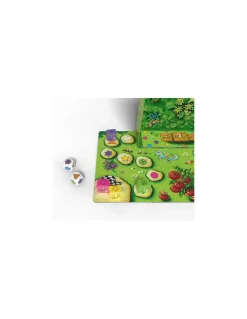 Escargots… Prêts? Partez!