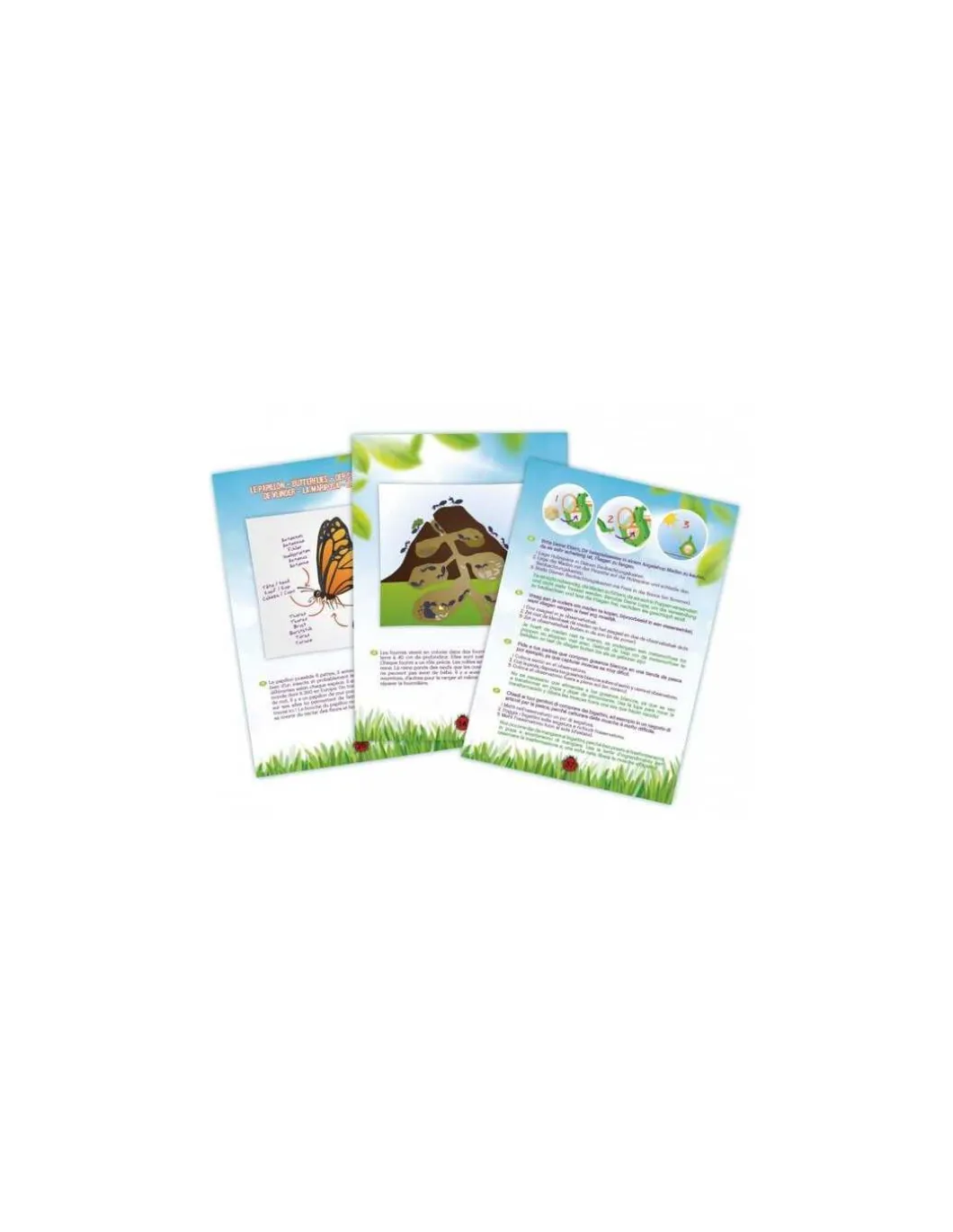Explorateur d'insectes - Buki