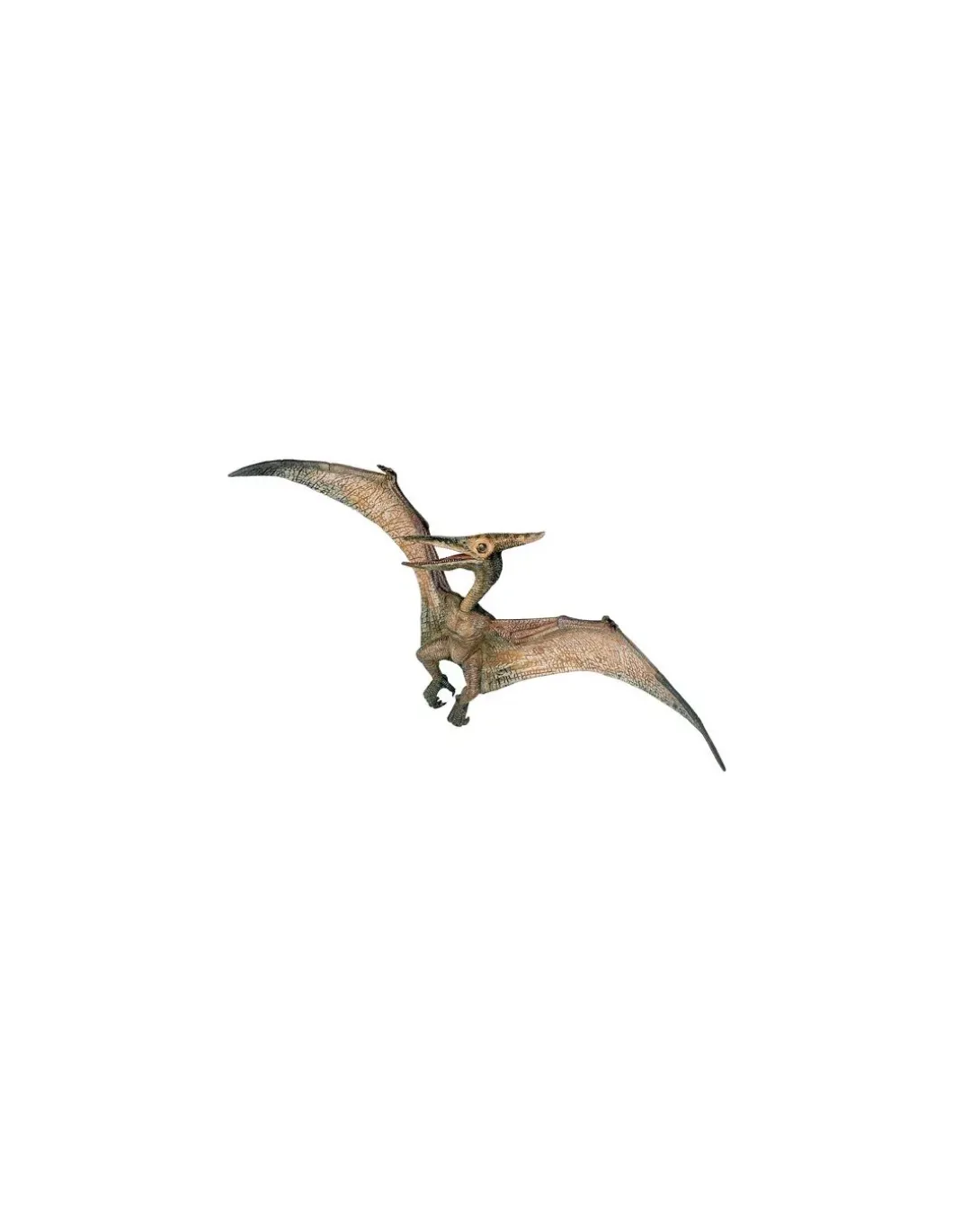 Figurine dinosaure ptéranodon - Papo