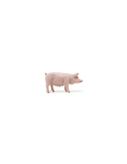 Figurine truie - Papo