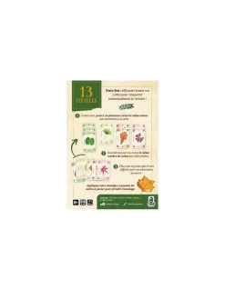 Jeu 13 feuilles
