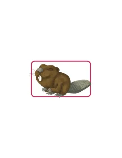 Jeu Concept kids animaux