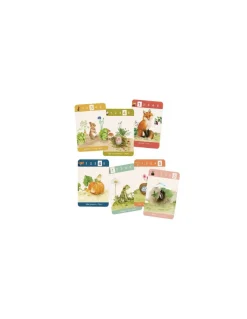Jeu de 7 familles Le Jardin - Moulin Roty