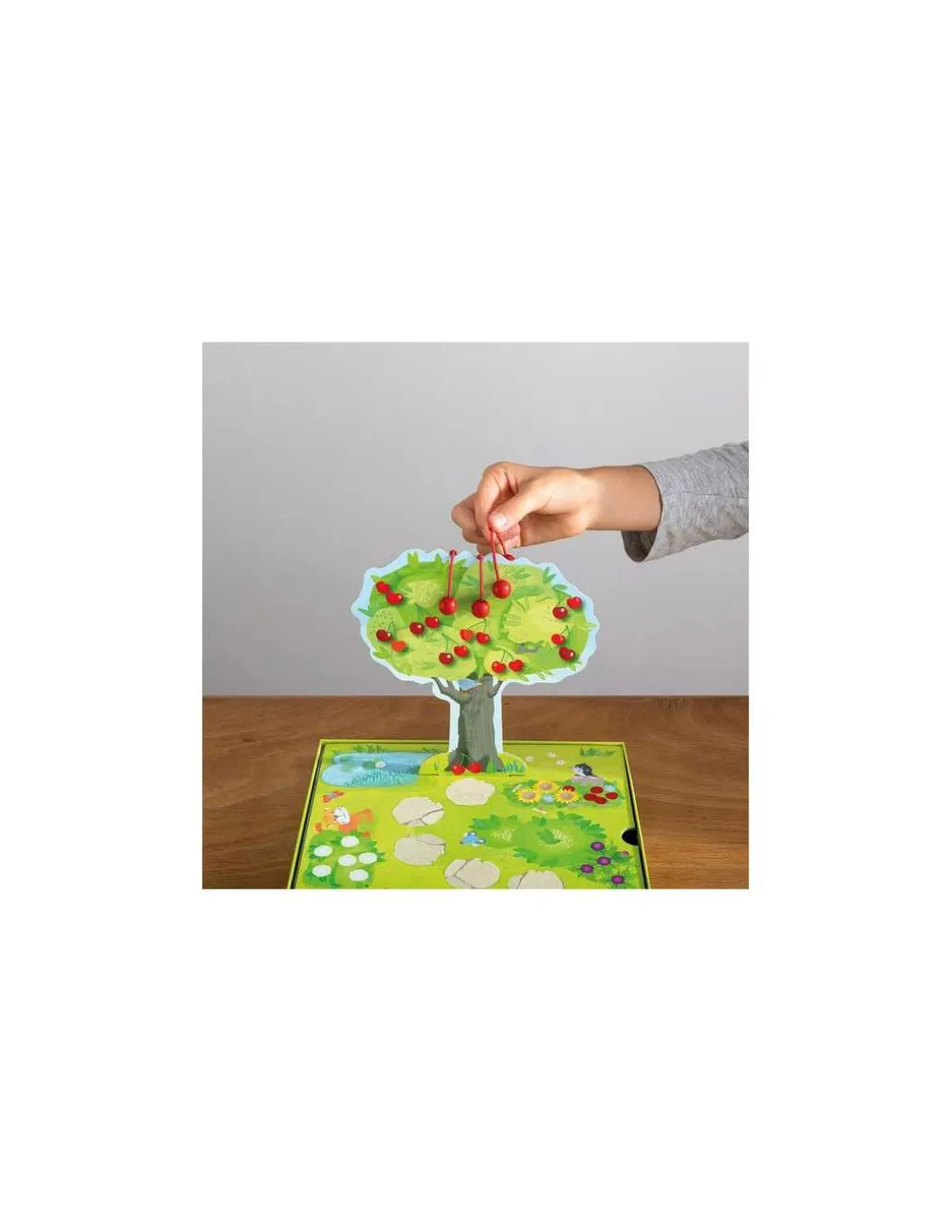 Jeu Le Petit Verger - Haba