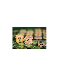 Jeu Lucky numbers