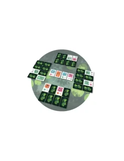 Jeu Symbiose