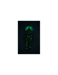Joe ami de la nuit - Lilliputiens
