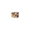 Kit de fouille T-Rex Museum Skull - Buki