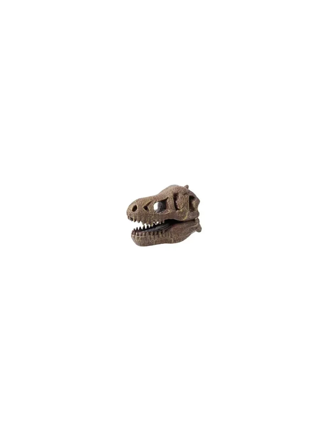 Kit de fouille T-Rex Museum Skull - Buki