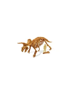 Kit de fouille tricératops - Buki