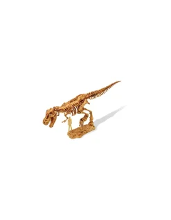 Kit de fouille tyrannosaure - Buki