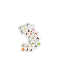 Le loto de la nature - Moulin Roty