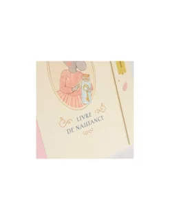Livre de naissance La petite école de danse - Moulin Roty