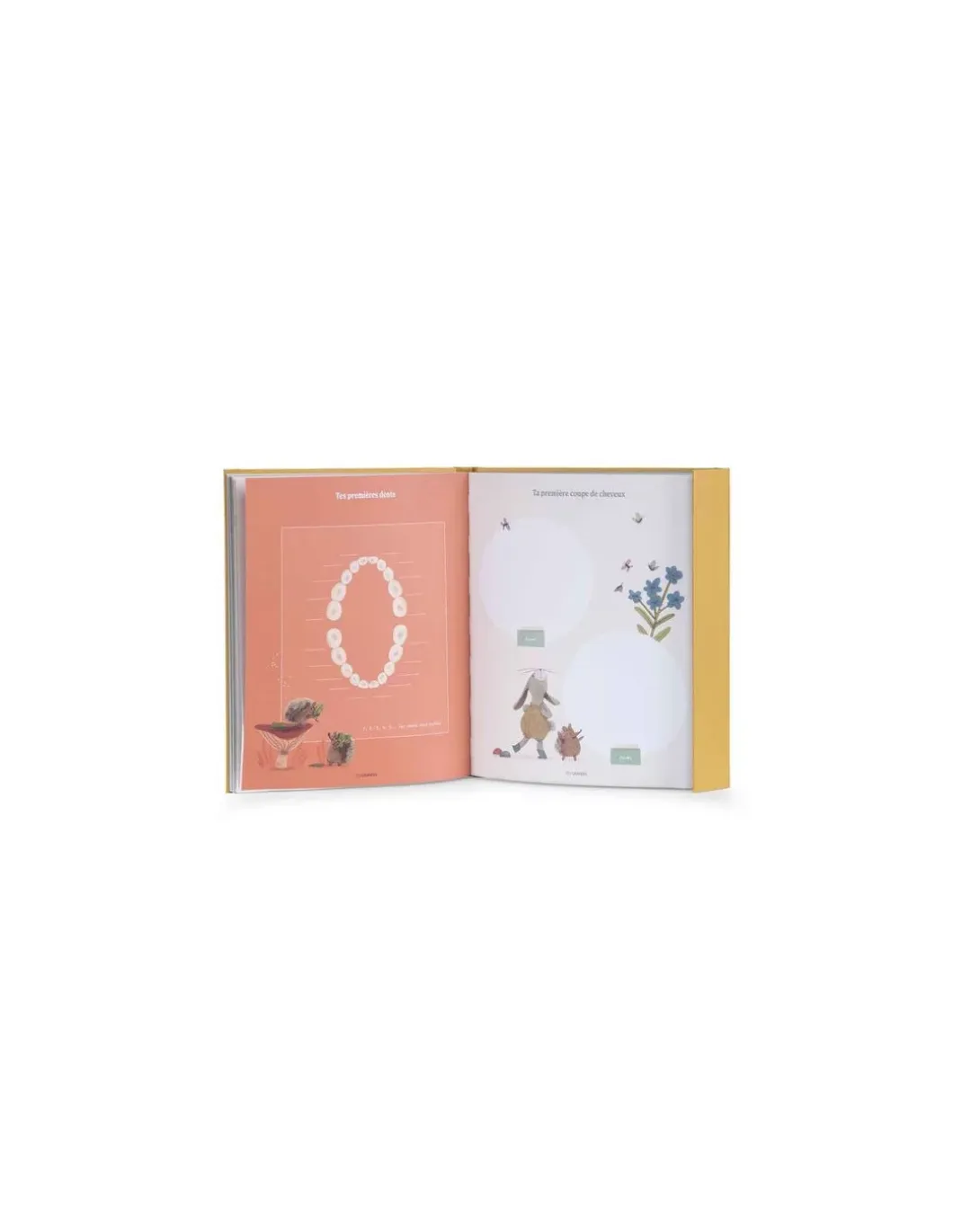 Livre de naissance Trois Petits Lapins - Moulin Roty