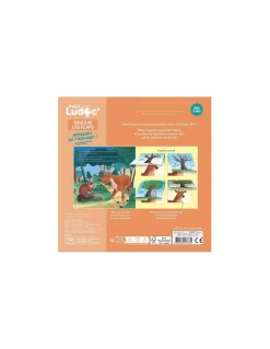 Livre documentaire les animaux de la forêt Ludoc - Auzou